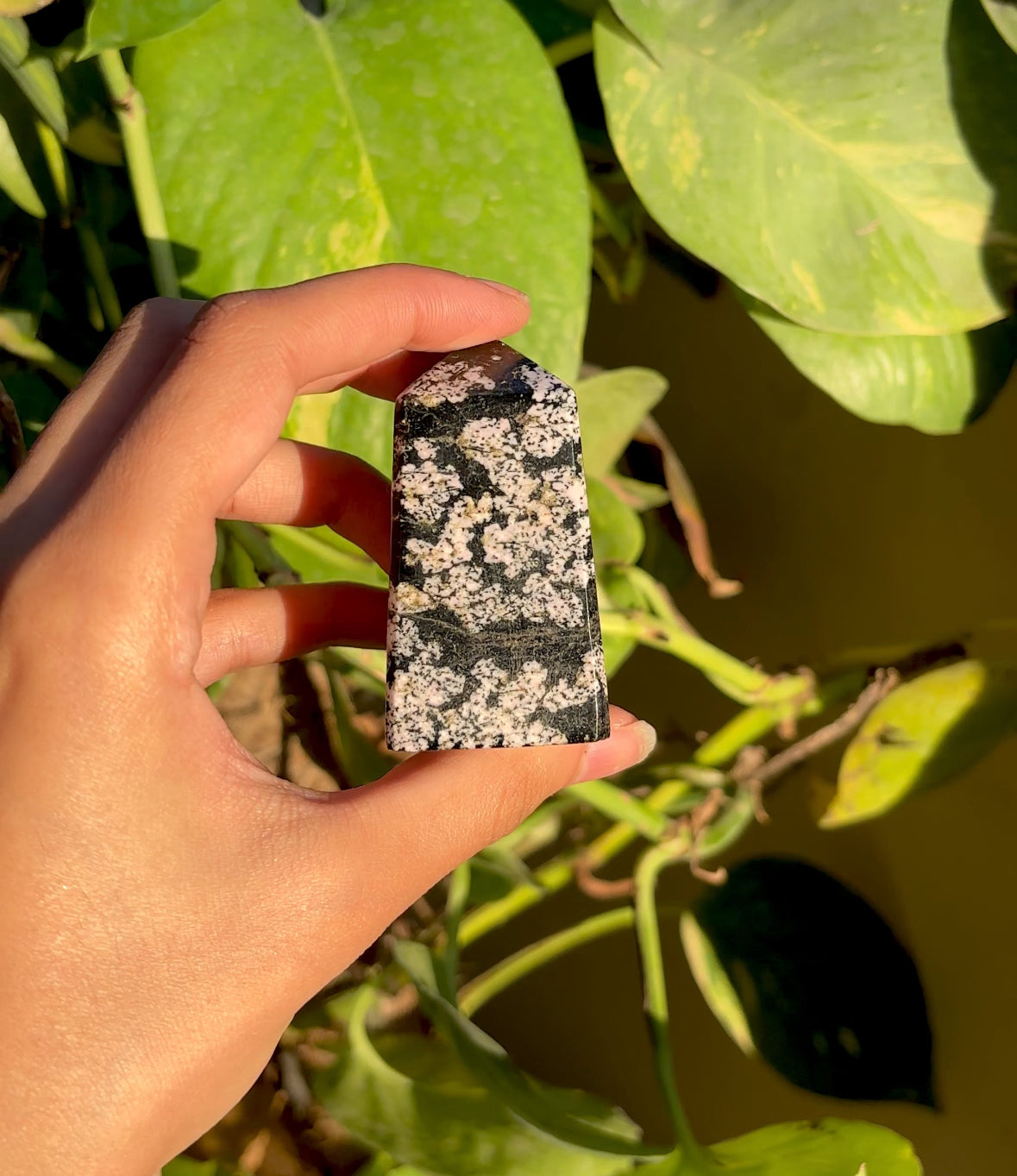 Snowflake Obsidian Tower