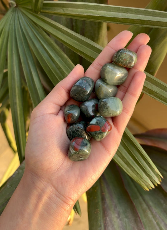 Dragon Blood Jasper Tumbles