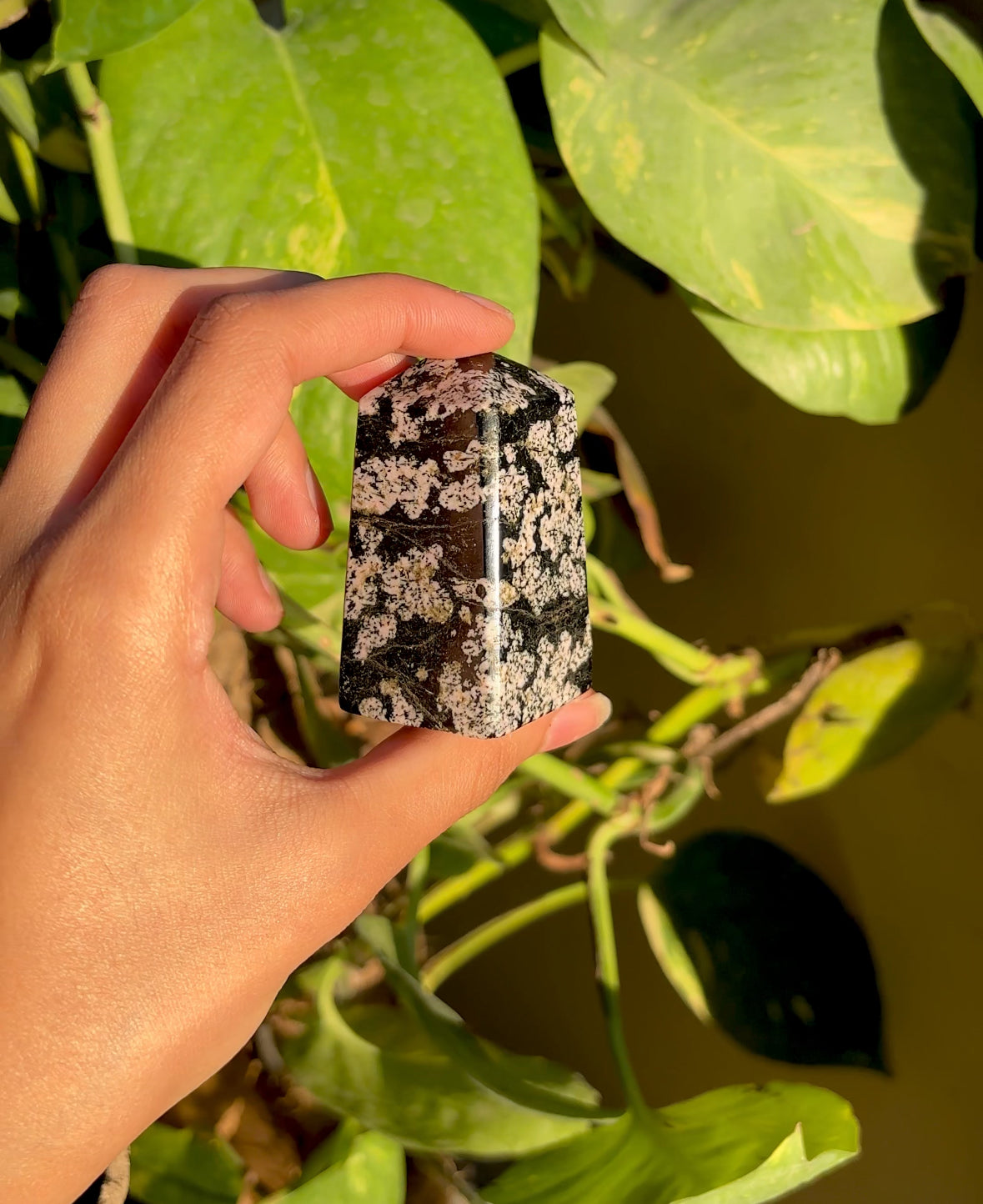 Snowflake Obsidian Tower