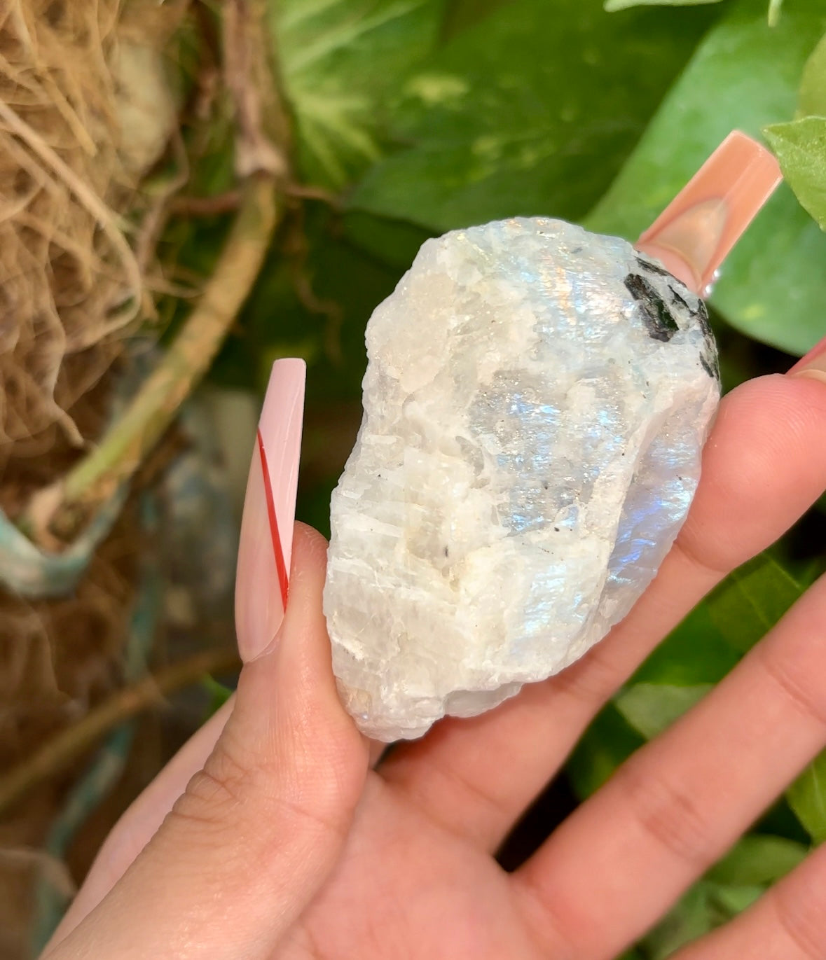 Raw Rainbow Moonstone