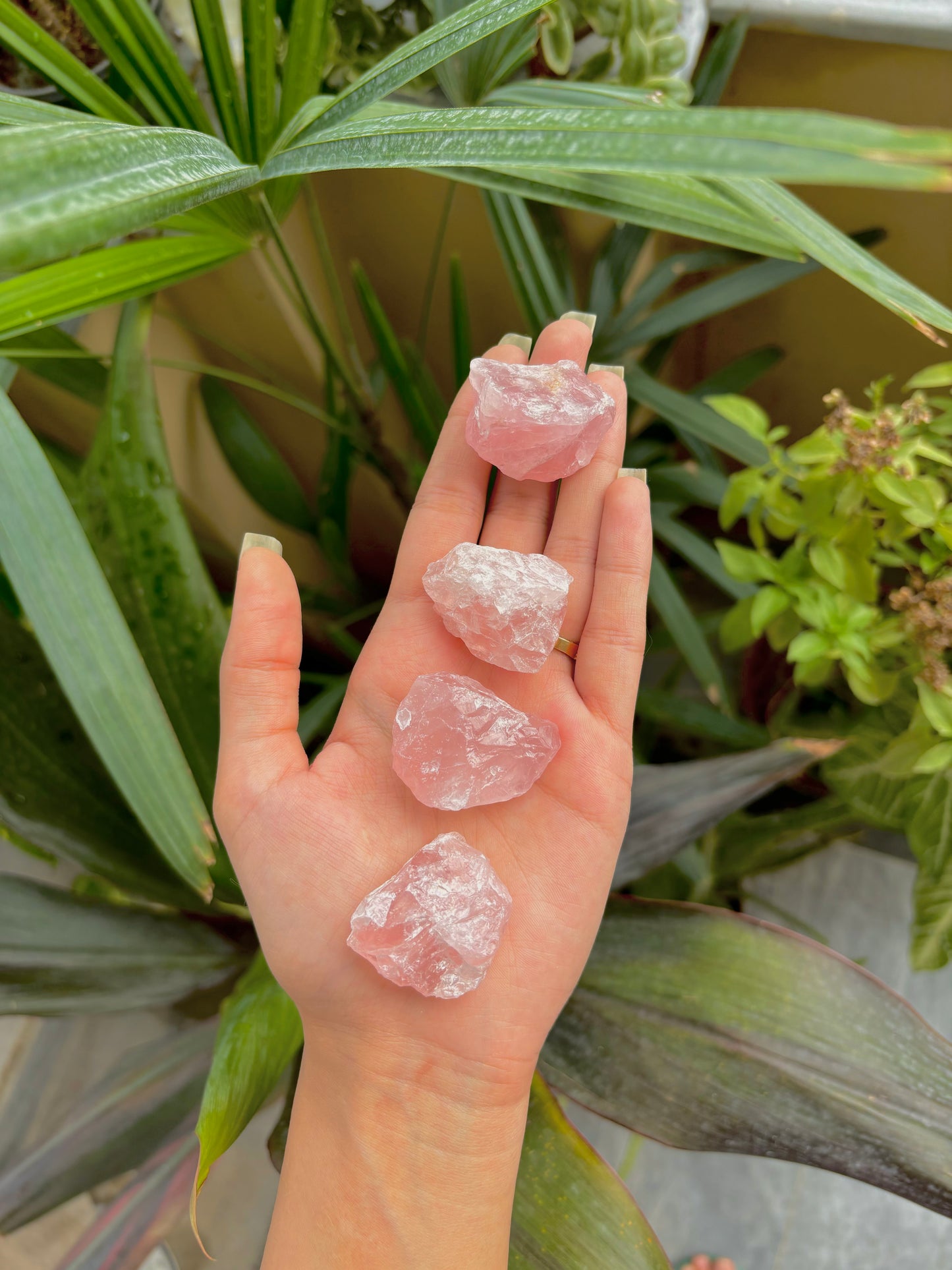 Raw Rose Quartz