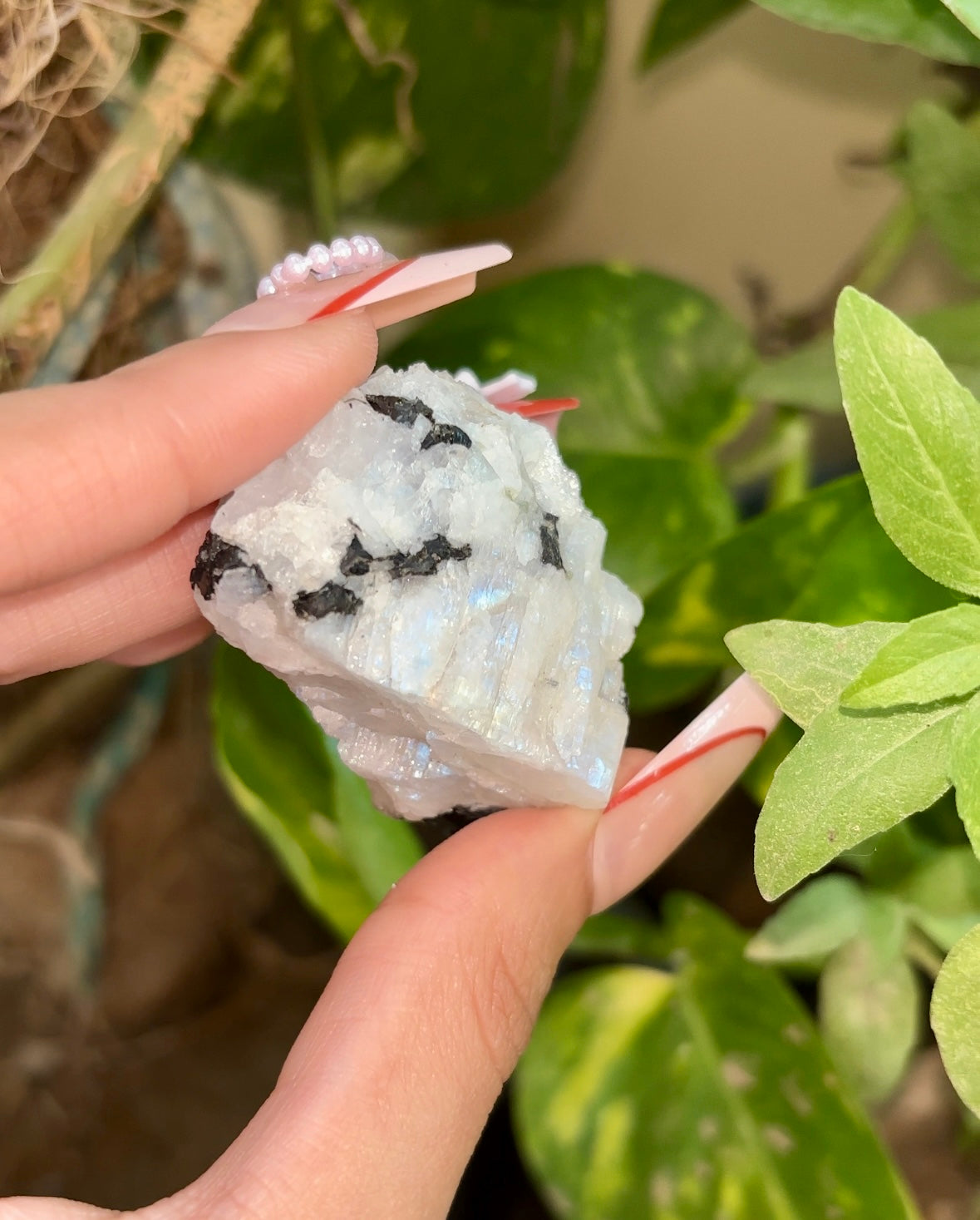 Raw Rainbow Moonstone