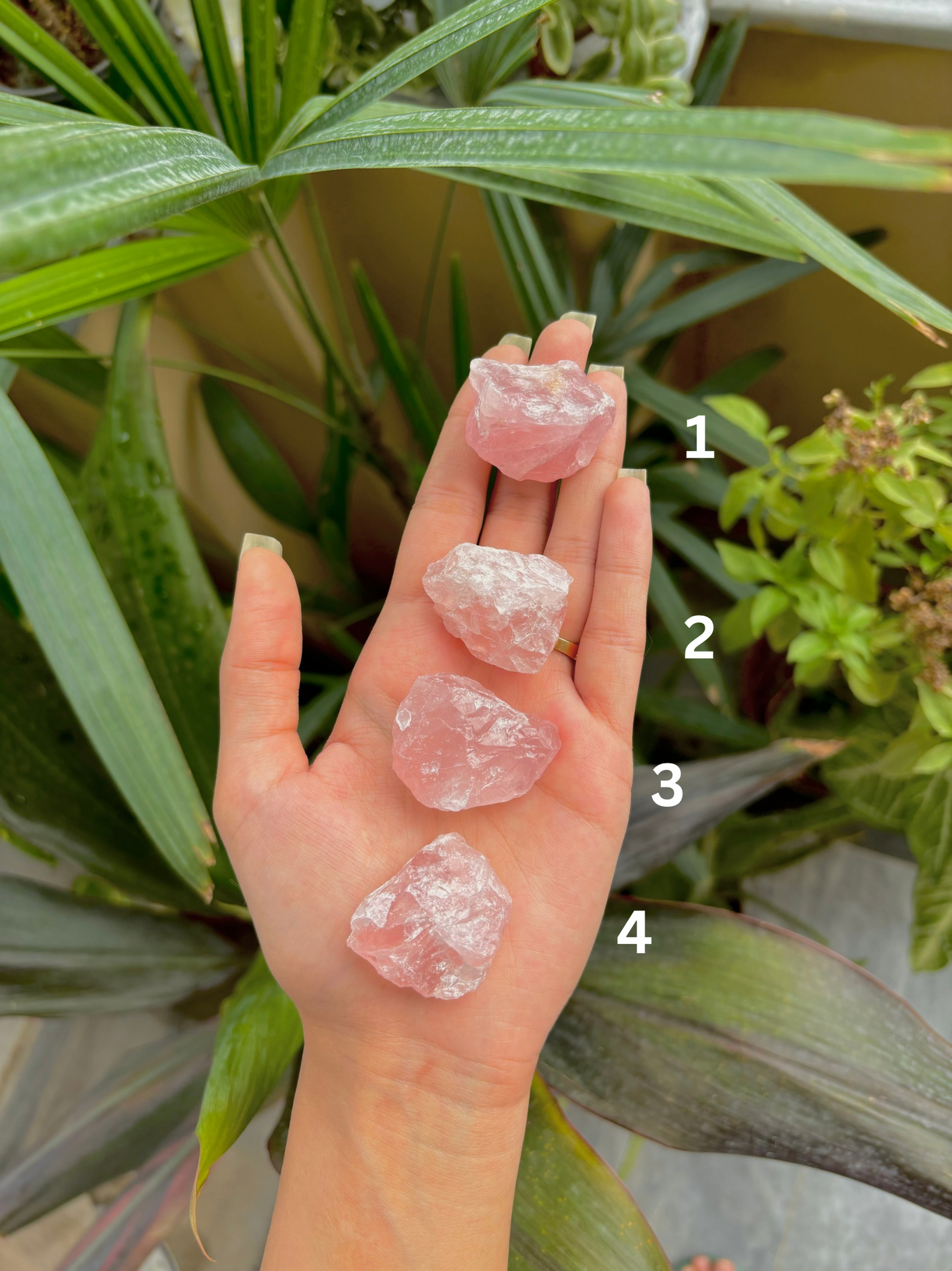 Raw Rose Quartz