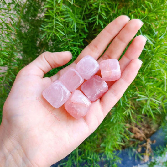 Rose Quartz Tumbled Crystal