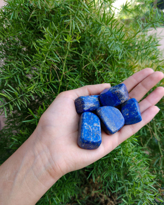 Lapis Lazuli Tumbled Stone