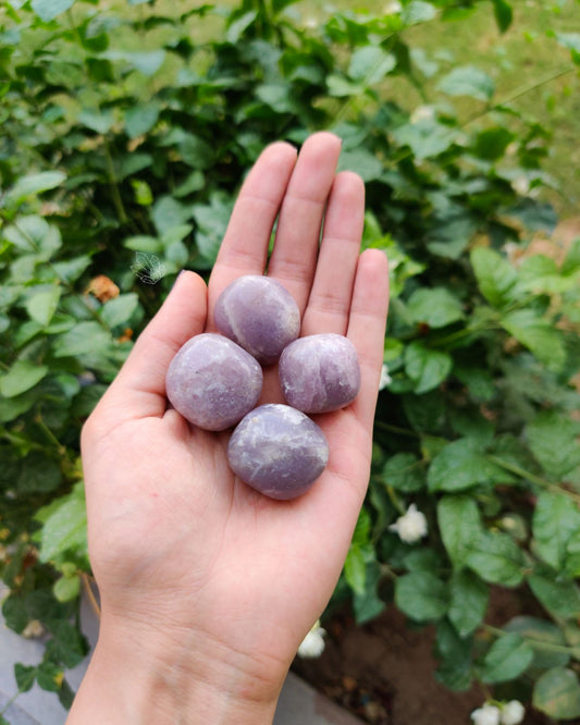 Lepidolite Tumbled Stone